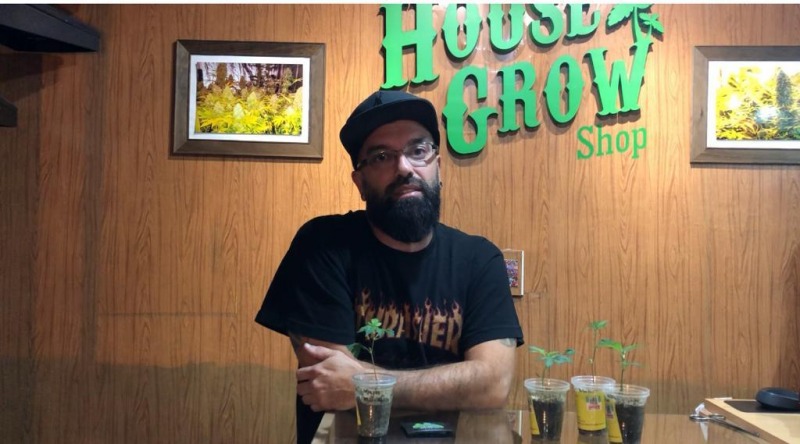 Ya se venden esquejes y semillas autorizadas de cannabis